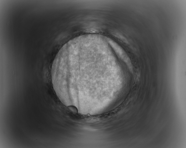 X0000087741446200705291003