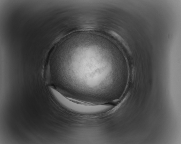 X0000087741449200705291003