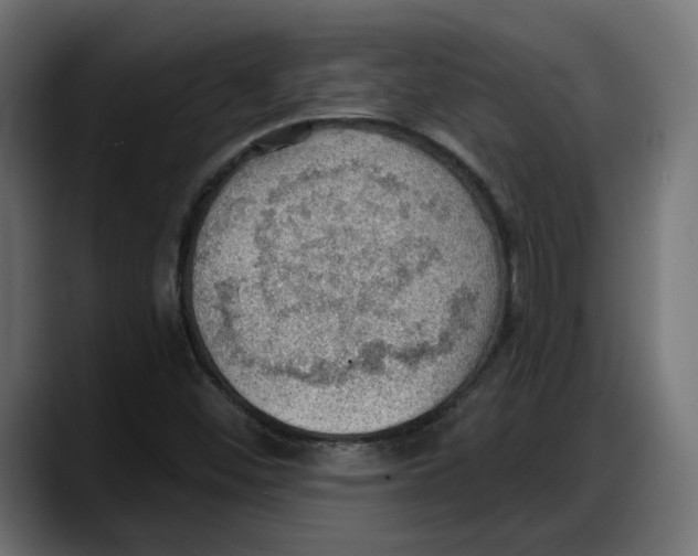 X0000087741452200705291003