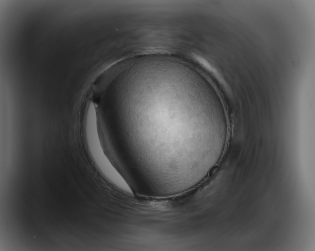 X0000087741453200705291003