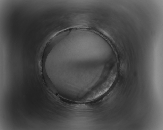 X0000087741455200705291003