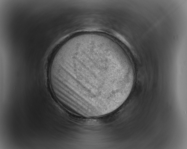 X0000087741456200705291003