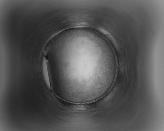 X0000087741457200705291003