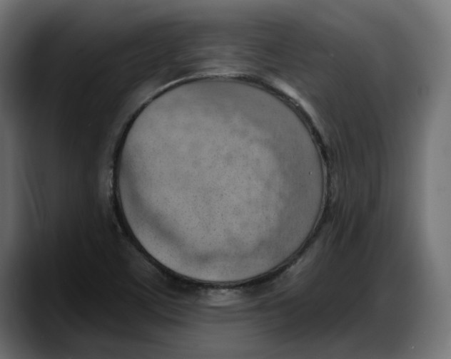X0000087741459200705291003