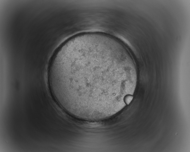 X0000087741460200705291003