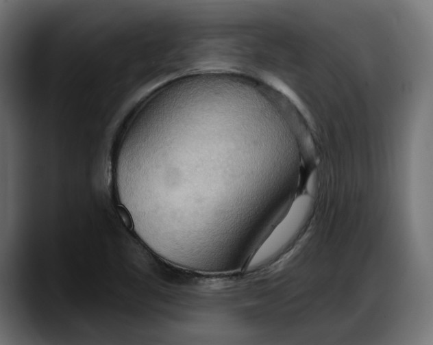 X0000087741461200705291003