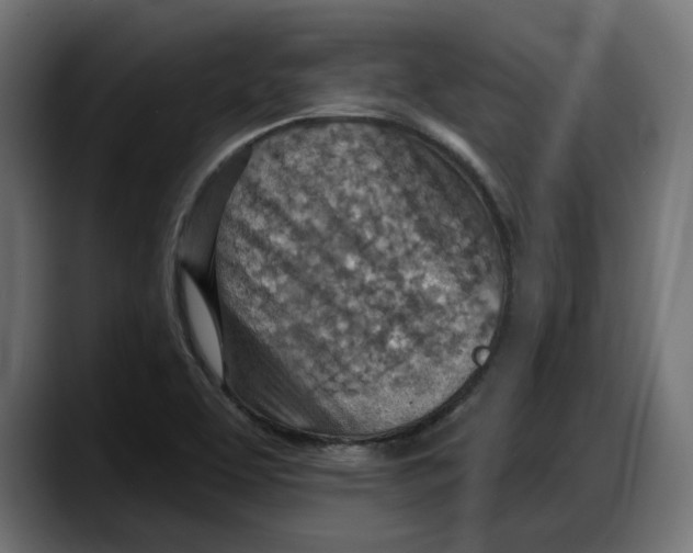 X0000087741463200705291003