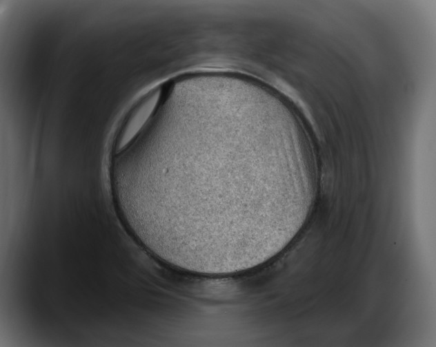 X0000087741464200705291003