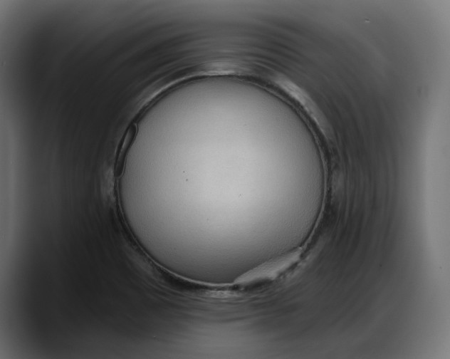 X0000087741465200705291003