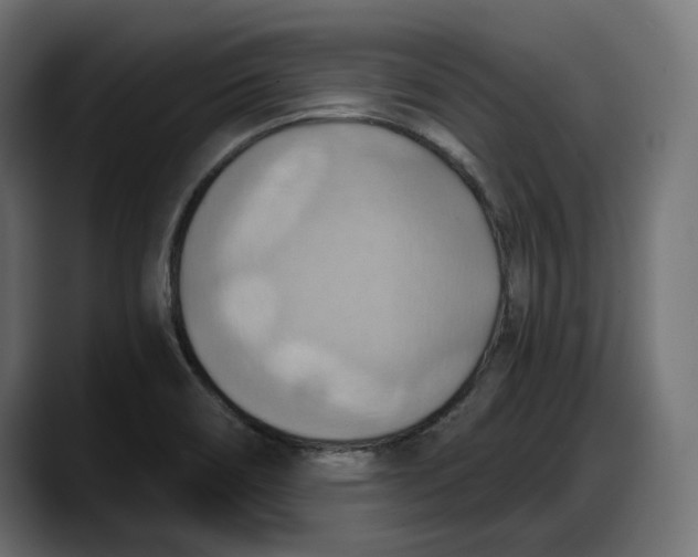 X0000087741466200705291003