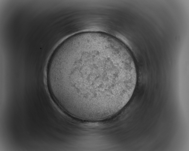 X0000087741468200705291003