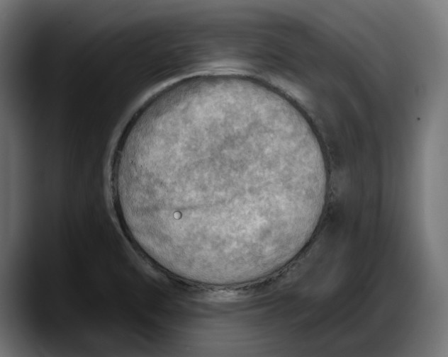 X0000087741470200705291003