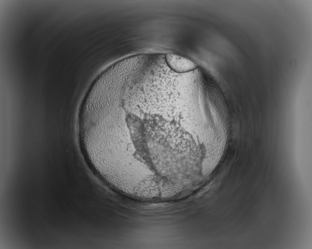 X0000087741471200705291003