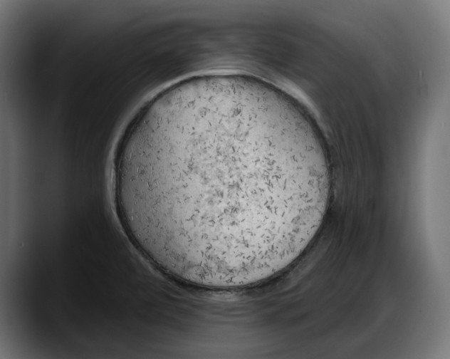 X0000087741472200705291003