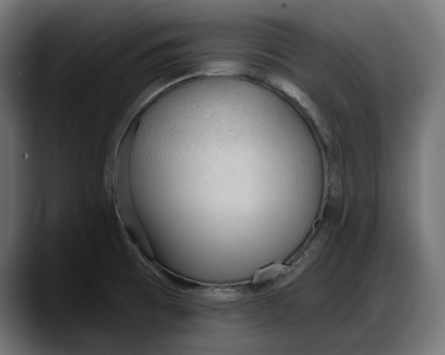 X0000087741473200705291003