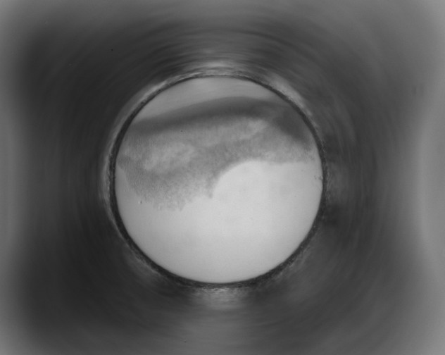 X0000087741474200705291003