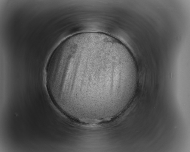 X0000087741476200705291003