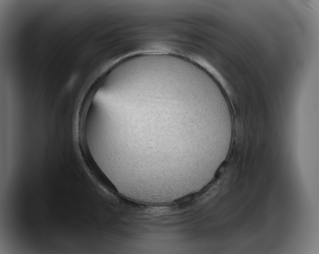 X0000087741477200705291003