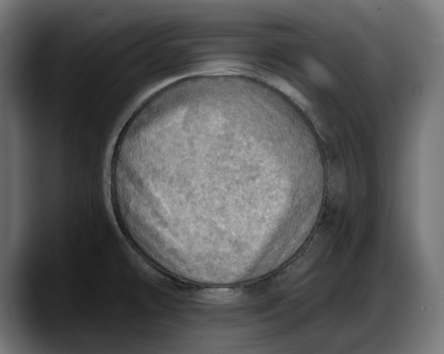 X0000087741478200705291003