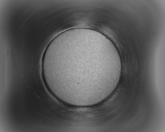X0000087741479200705291003