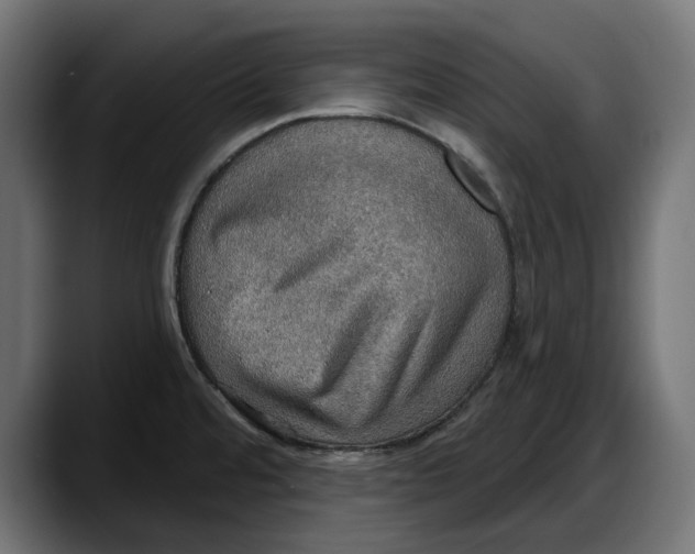 X0000087741480200705291003