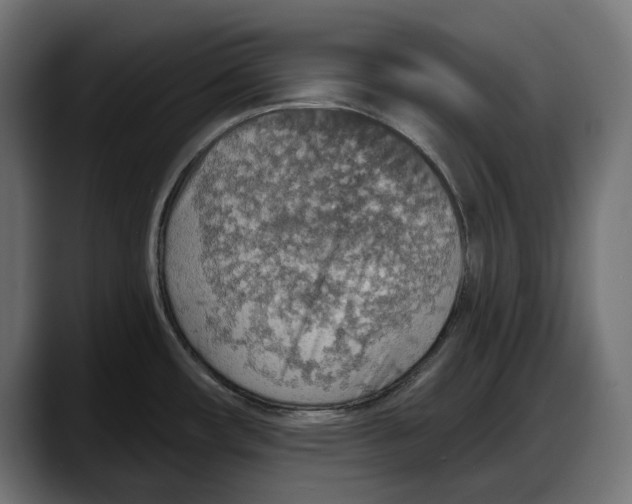 X0000087741482200705291003