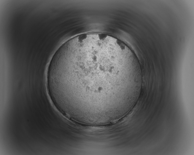 X0000087741483200705291003