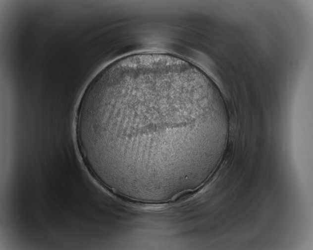 X0000087741484200705291003