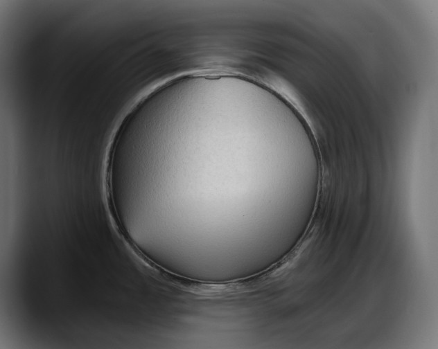 X0000087741485200705291003