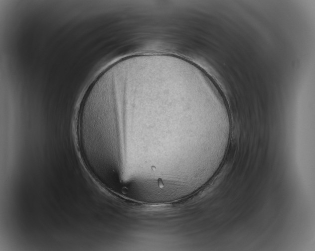 X0000087741486200705291002