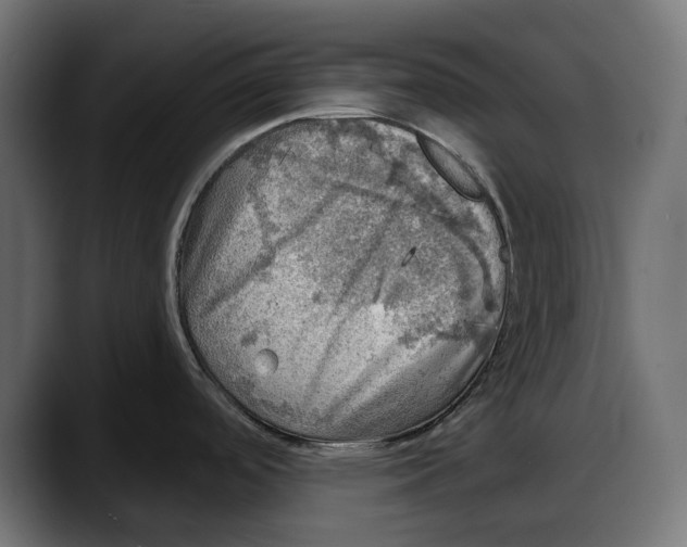 X0000087741488200705291002