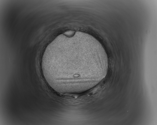 X0000087741489200705291002