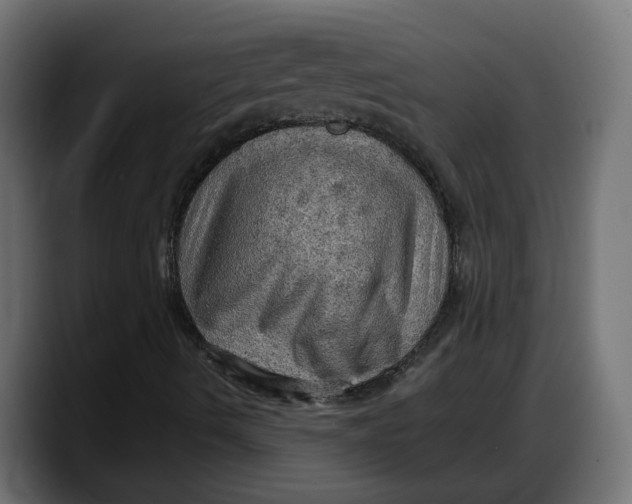 X0000087741490200705291002