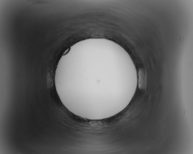 X0000087741491200705291002