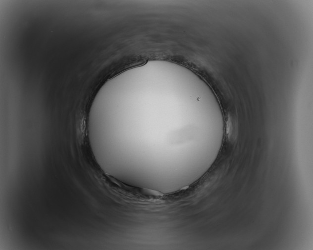 X0000087741492200705291002