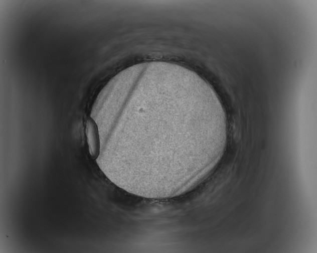 X0000087741493200705291002