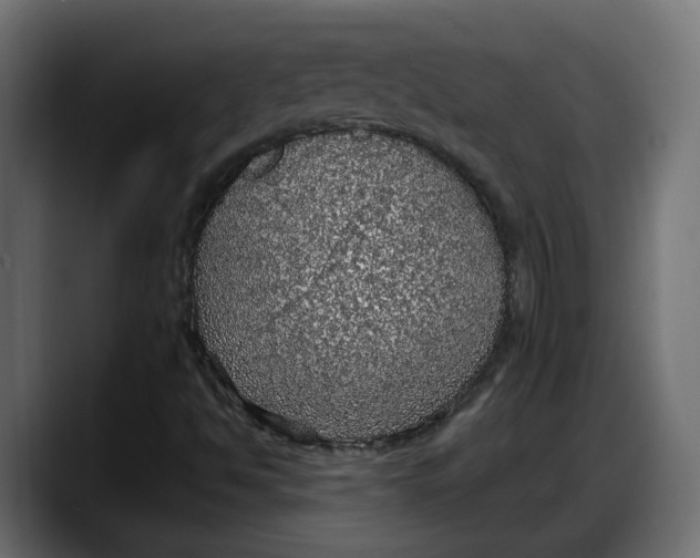 X0000087741494200705291002