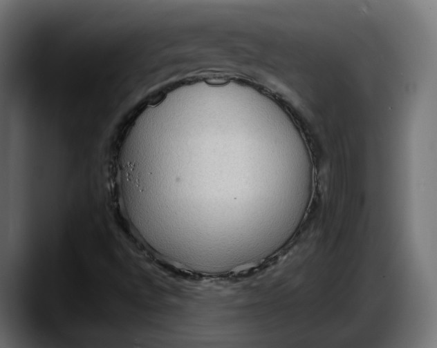 X0000087741496200705291002
