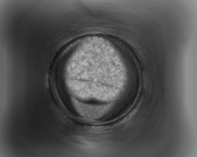 X0000087741497200705291002