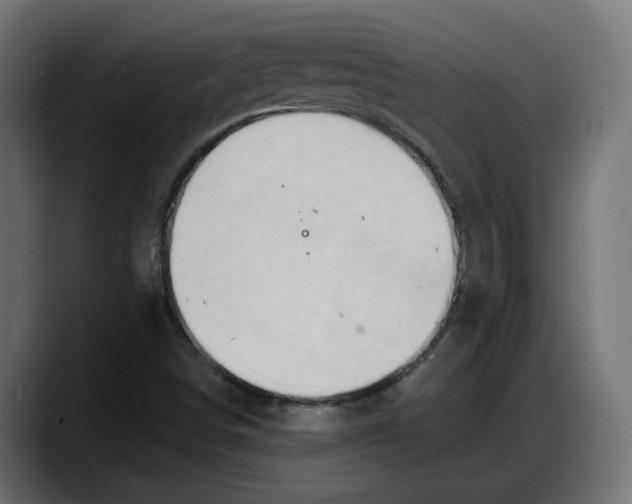 X0000087741498200705291002