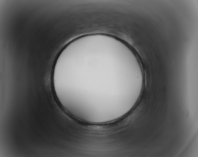 X0000087741500200705291002