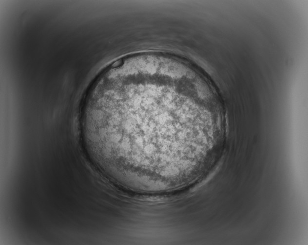 X0000087741501200705291002