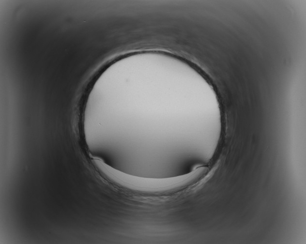 X0000087741502200705291002