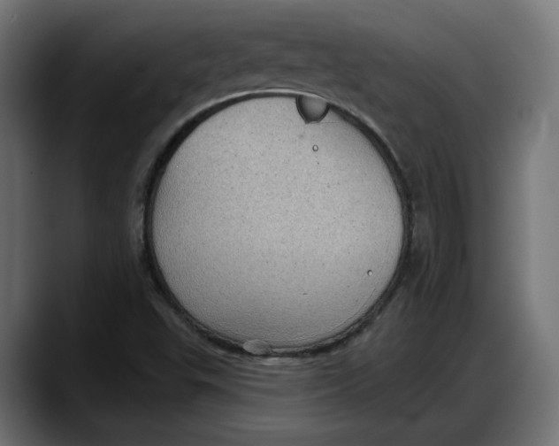 X0000087741503200705291002