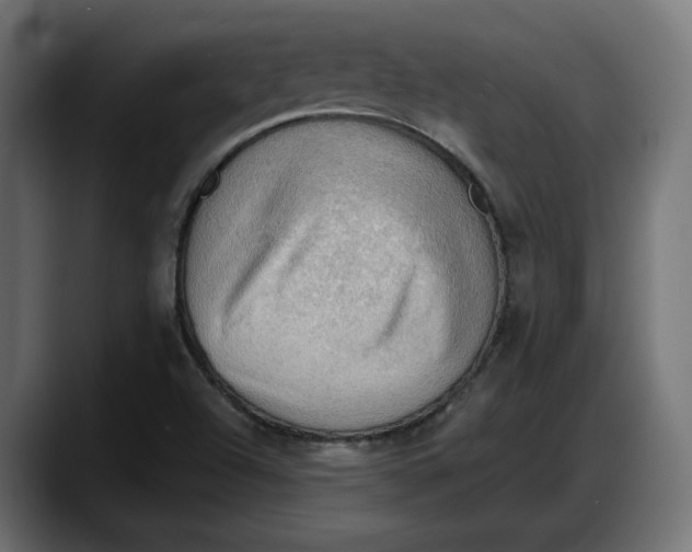 X0000087741504200705291002