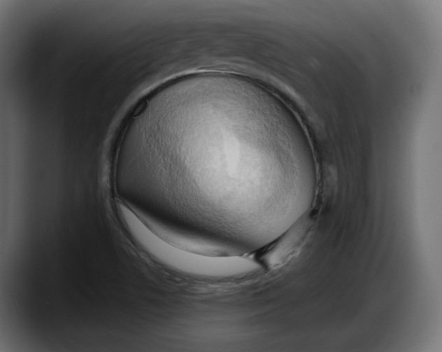 X0000087741506200705291002