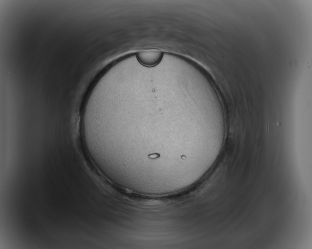 X0000087741507200705291002