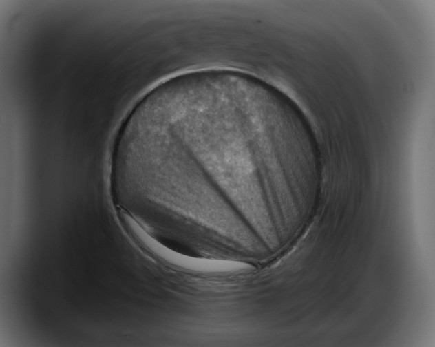 X0000087741508200705291002