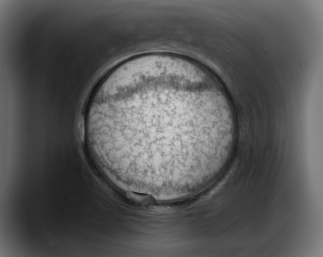 X0000087741509200705291002