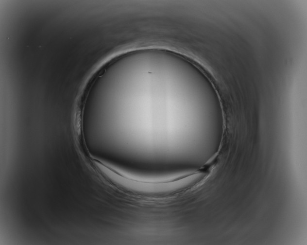X0000087741510200705291002